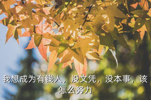 我想成為有錢(qián)人，沒(méi)文憑，沒(méi)本事，該怎么努力