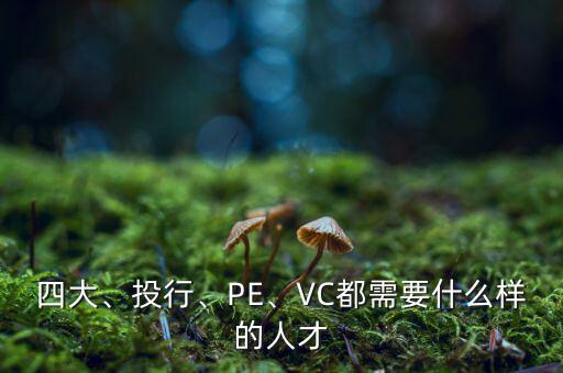 四大、投行、PE、VC都需要什么樣的人才