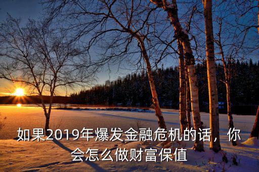 如果2019年爆發(fā)金融危機(jī)的話，你會(huì)怎么做財(cái)富保值