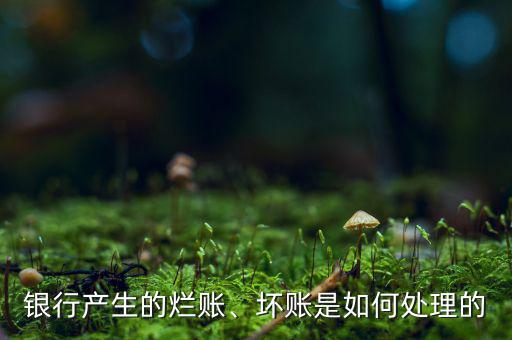 銀行產(chǎn)生的爛賬、壞賬是如何處理的