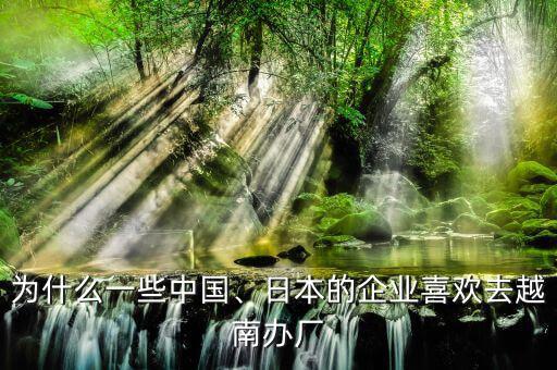 為什么一些中國、日本的企業(yè)喜歡去越南辦廠