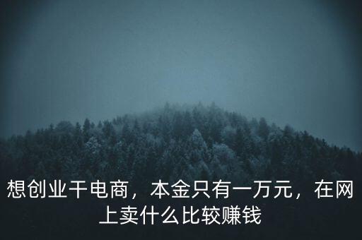 想創(chuàng)業(yè)干電商，本金只有一萬元，在網(wǎng)上賣什么比較賺錢