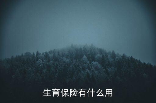 生育保險有什么用