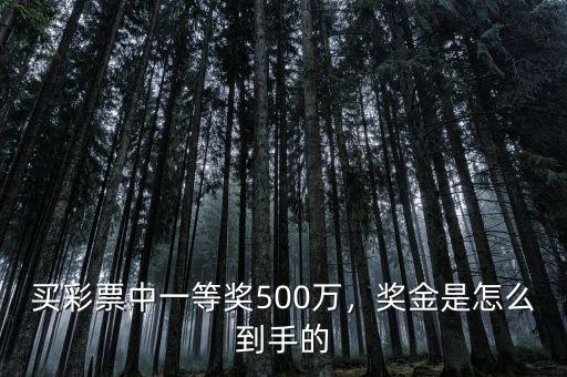 買彩票中一等獎500萬，獎金是怎么到手的