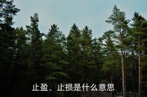 止盈、止損是什么意思