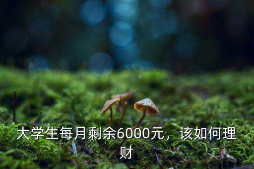 每月6000塊怎么理財(cái),如果月薪只有6000塊