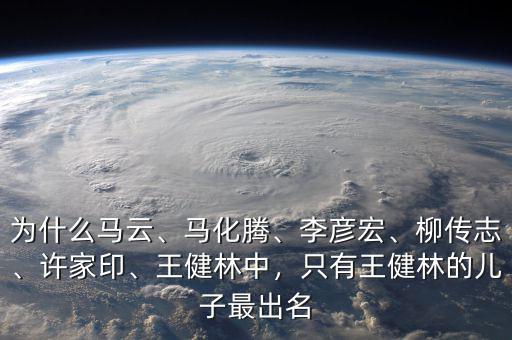 為什么馬云、馬化騰、李彥宏、柳傳志、許家印、王健林中，只有王健林的兒子最出名