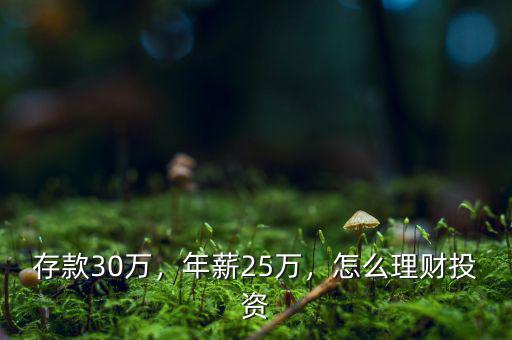 存款30萬，年薪25萬，怎么理財(cái)投資