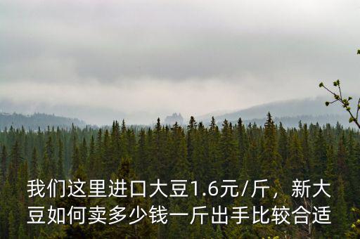 我們這里進口大豆1.6元/斤，新大豆如何賣多少錢一斤出手比較合適