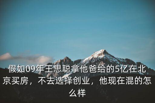 假如09年王思聰拿他爸給的5億在北京買房，不去選擇創(chuàng)業(yè)，他現(xiàn)在混的怎么樣