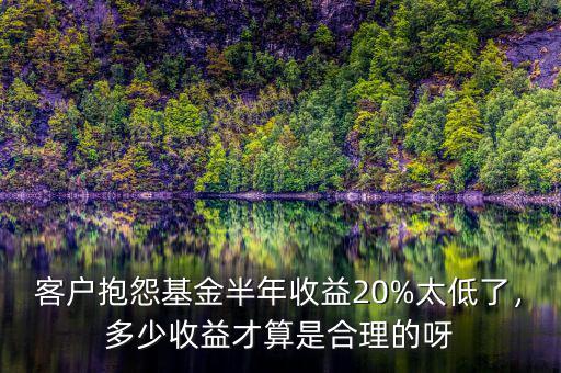 客戶抱怨基金半年收益20%太低了，多少收益才算是合理的呀