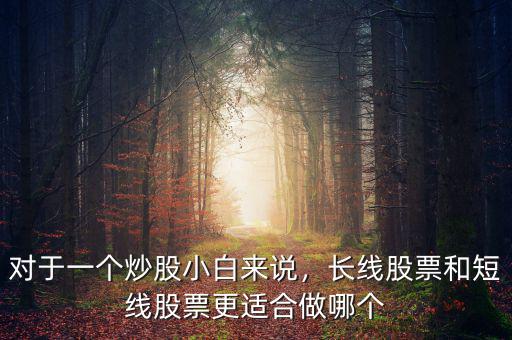 對(duì)于一個(gè)炒股小白來說，長(zhǎng)線股票和短線股票更適合做哪個(gè)