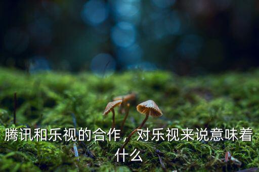 什么是樂(lè)視,樂(lè)視到底是一家什么樣的公司