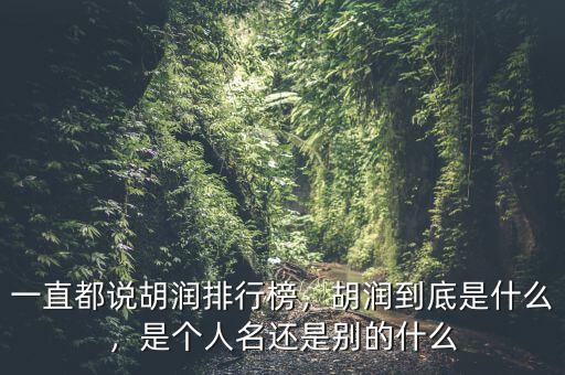 一直都說胡潤排行榜，胡潤到底是什么，是個(gè)人名還是別的什么