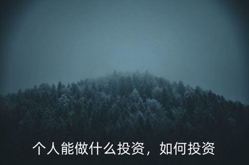 可以投資什么,今年有什么項(xiàng)目可以投資的