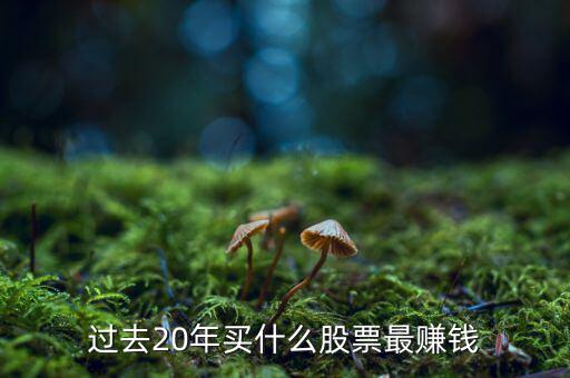 2016什么股票最熱門,過(guò)去20年買什么股票最賺錢