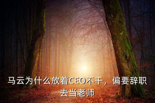 馬云為什么不做ceo,為什么馬云一邊說(shuō)不做游戲