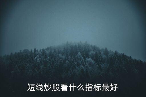 短線炒股看什么指標最好