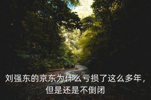 劉強(qiáng)東的京東為什么虧損了這么多年，但是還是不倒閉