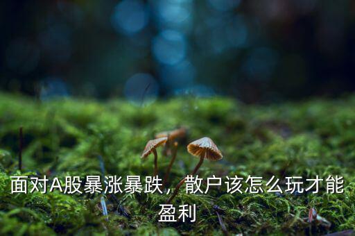 面對(duì)A股暴漲暴跌，散戶該怎么玩才能盈利