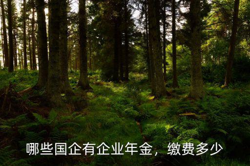 大家企業(yè)年金有多少,企業(yè)年金繳費11年