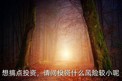 什么投資風(fēng)險(xiǎn)最小,風(fēng)險(xiǎn)最小的投資是什么