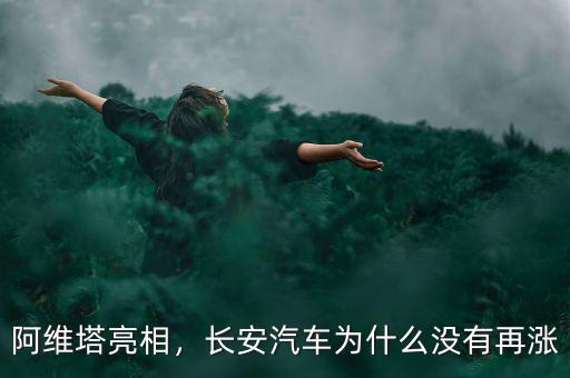 長(zhǎng)安汽車股票為什么不漲,這類股票為什么漲不起來