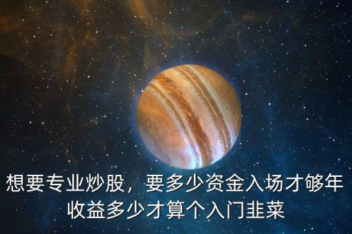 想要專業(yè)炒股，要多少資金入場才夠年收益多少才算個入門韭菜