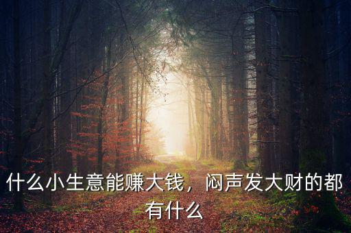 什么小生意能賺大錢，悶聲發(fā)大財?shù)亩加惺裁? class=