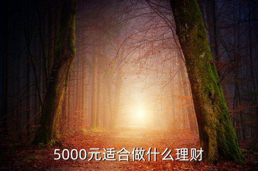 我有5000元怎么買理財(cái),你會怎么理財(cái)