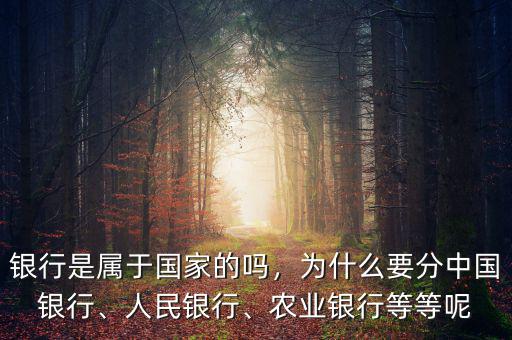 銀行是屬于國家的嗎，為什么要分中國銀行、人民銀行、農(nóng)業(yè)銀行等等呢