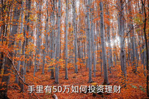 50萬(wàn)怎么辦理財(cái)金,手里有50萬(wàn)如何投資理財(cái)