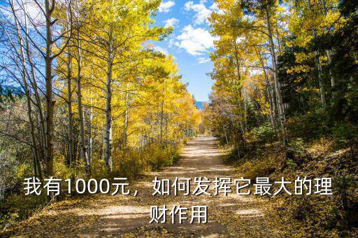 我有1000元，如何發(fā)揮它最大的理財作用