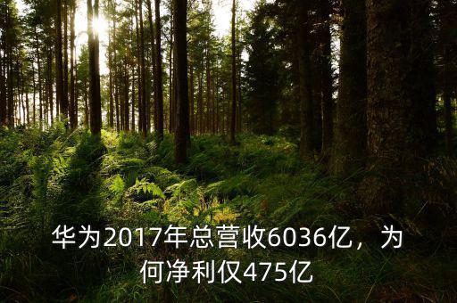 華為2017年總營收6036億，為何凈利僅475億