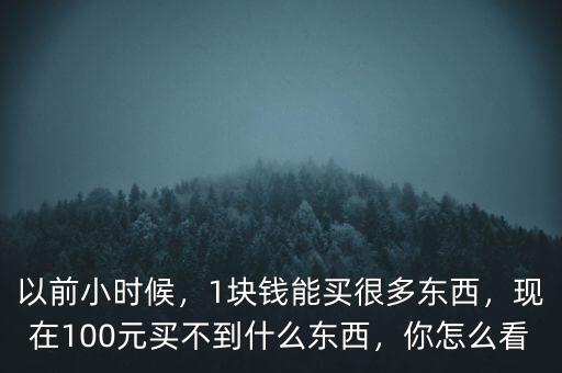 以前小時(shí)候，1塊錢能買很多東西，現(xiàn)在100元買不到什么東西，你怎么看