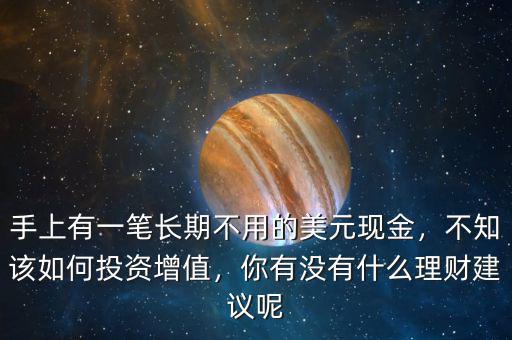 手上有一筆長期不用的美元現(xiàn)金，不知該如何投資增值，你有沒有什么理財建議呢