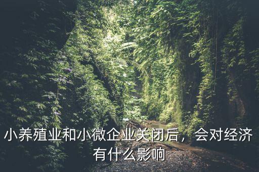 小養(yǎng)殖業(yè)和小微企業(yè)關(guān)閉后，會對經(jīng)濟(jì)有什么影響