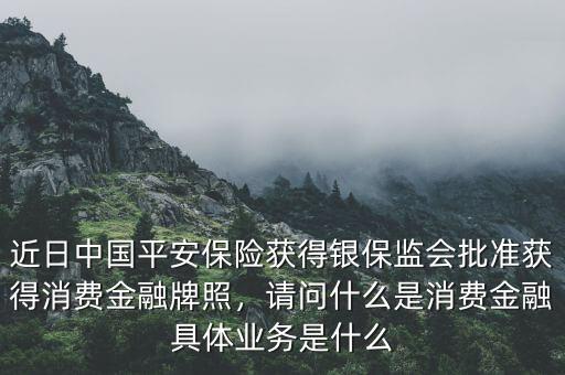 什么是金融消費,具體業(yè)務是什么