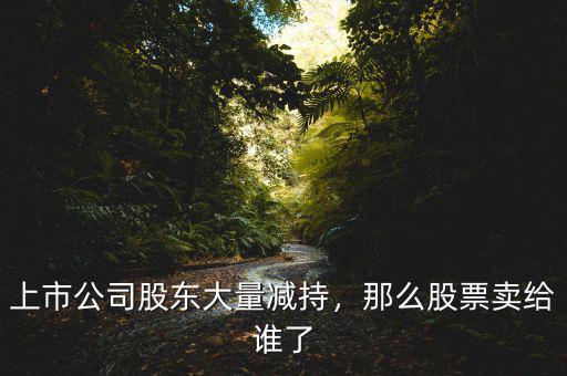 上市公司股東大量減持，那么股票賣給誰(shuí)了