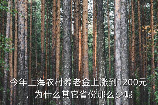 今年上海農(nóng)村養(yǎng)老金上漲到1200元，為什么其它省份那么少呢