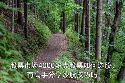 股票市場(chǎng)4000多支股票如何選股，有高手分享炒股技巧嗎