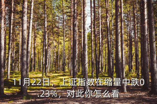 11月22日，上證指數(shù)在縮量中跌0.23%，對此你怎么看