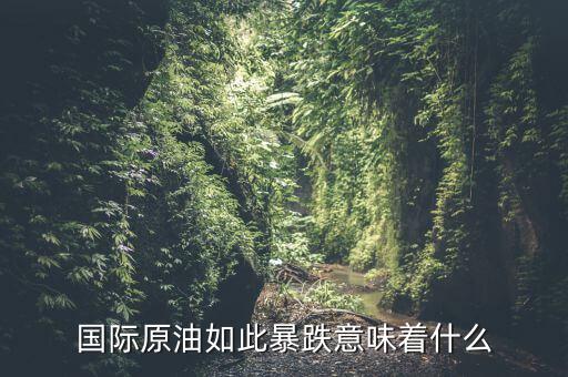 國際原油如此暴跌意味著什么