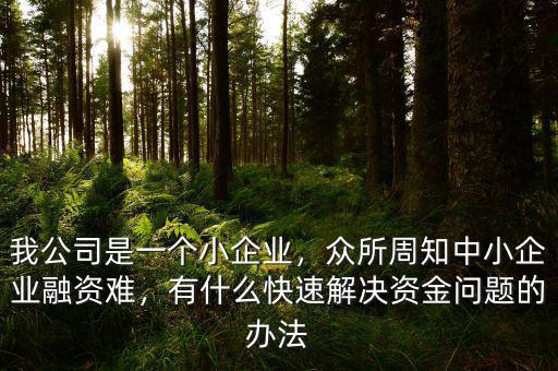 國(guó)外是怎么解決中小企業(yè)融資難問題,中小企業(yè)融資難