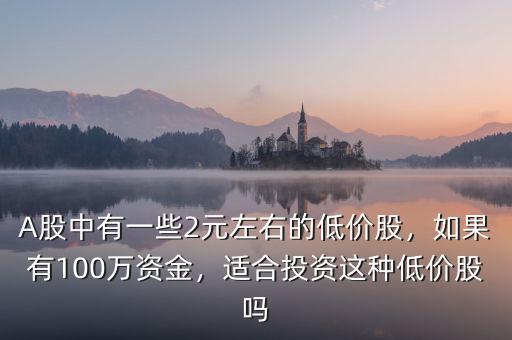 A股中有一些2元左右的低價股，如果有100萬資金，適合投資這種低價股嗎