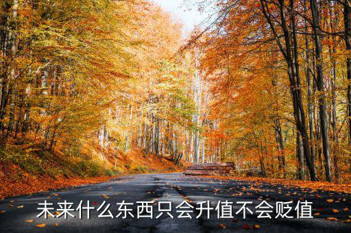 什么不會貶值,什么東西永遠(yuǎn)不貶值