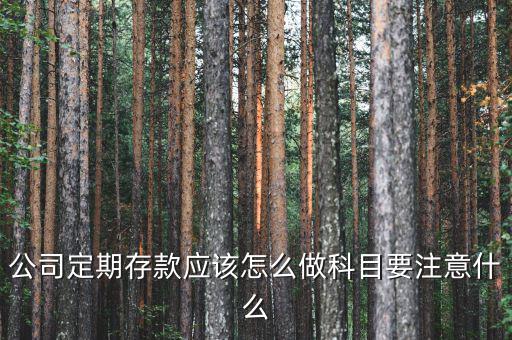 公司定期存款應(yīng)該怎么做科目要注意什么