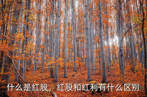 什么是紅股，紅股和紅利有什么區(qū)別