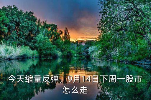 今天縮量反彈，9月14日下周一股市怎么走