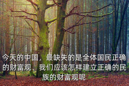 今天的中國，最缺失的是全體國民正確的財富觀、我們應(yīng)該怎樣建立正確的民族的財富觀呢